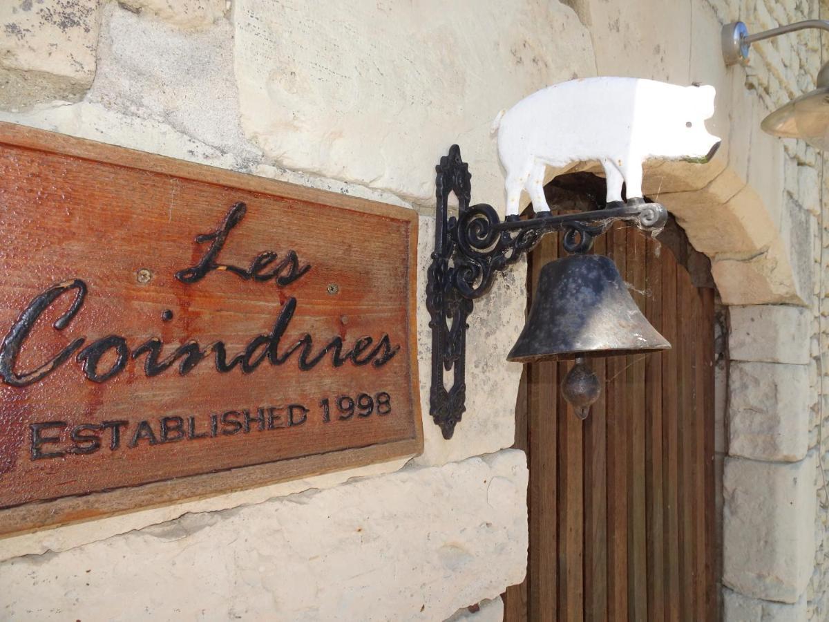 Vila Les Coindries Faye-la-Vineuse Exteriér fotografie